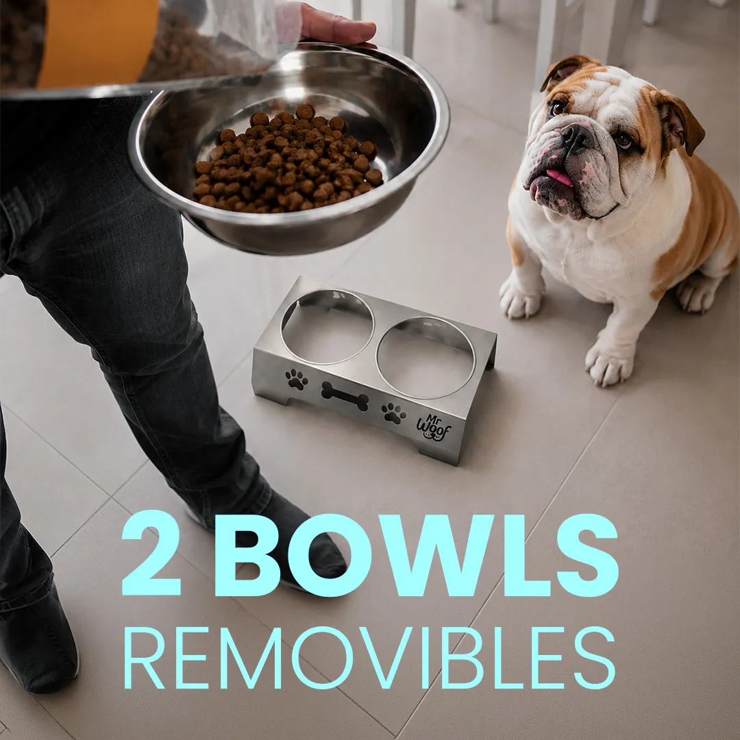 2 bolws removibles MR WOOF