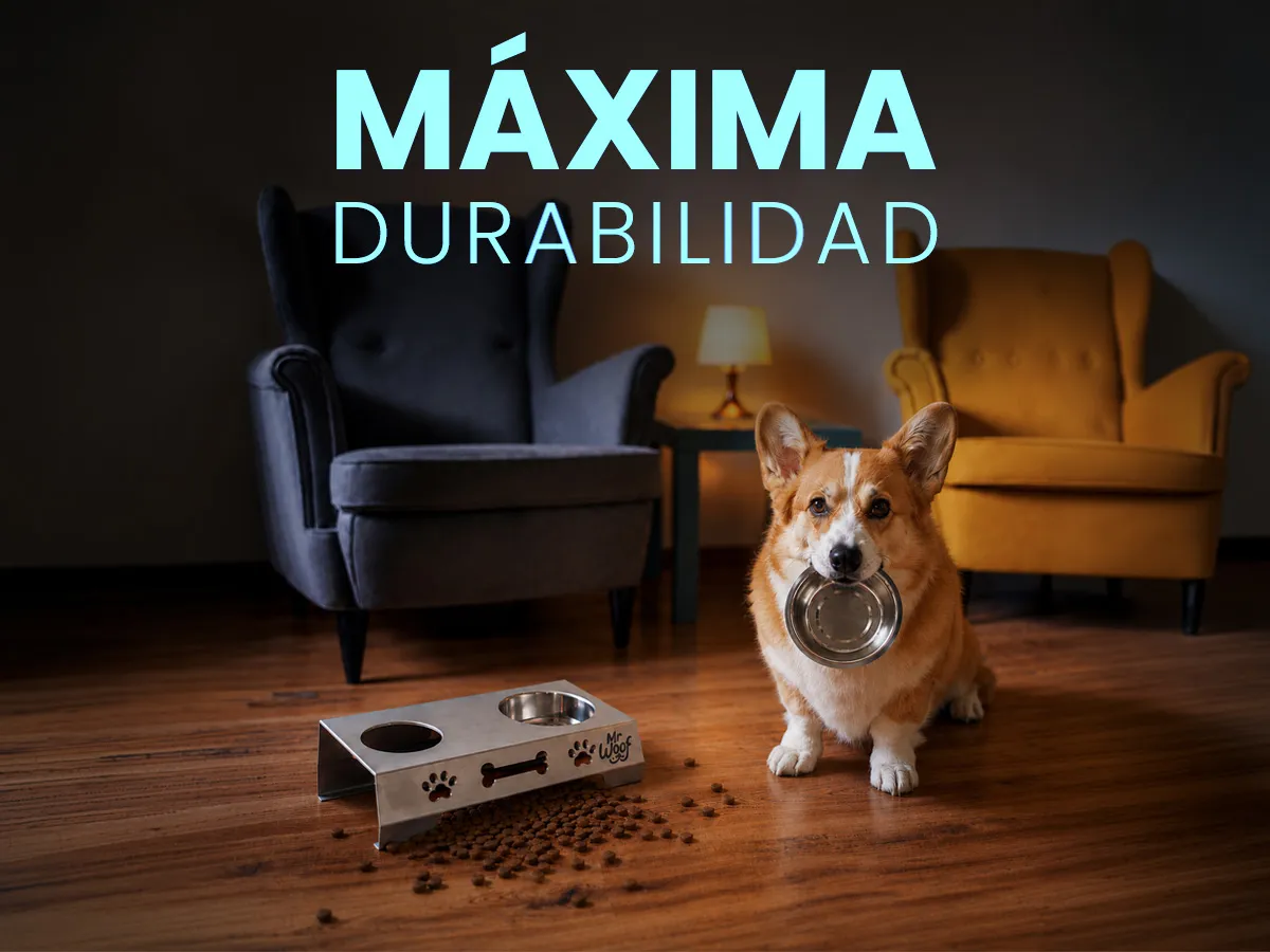 Maxima durabilidad MR WOOF