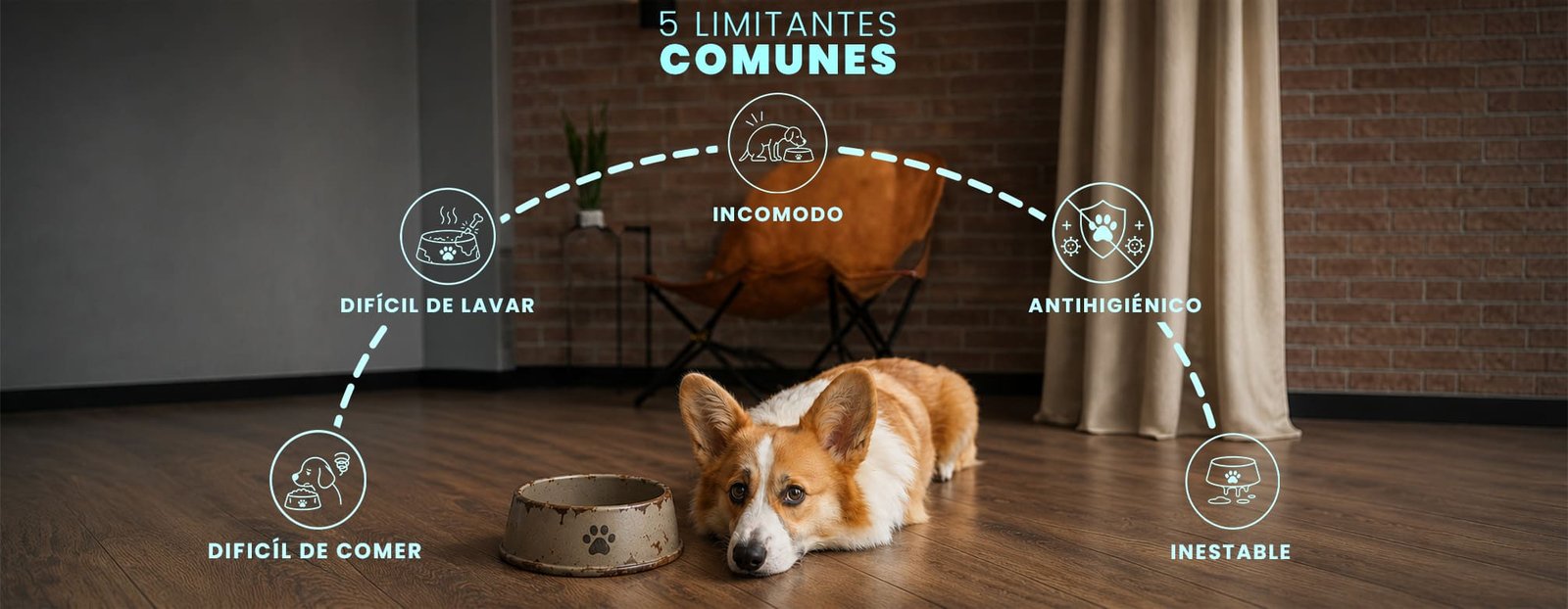 Comparativa MR WOOF