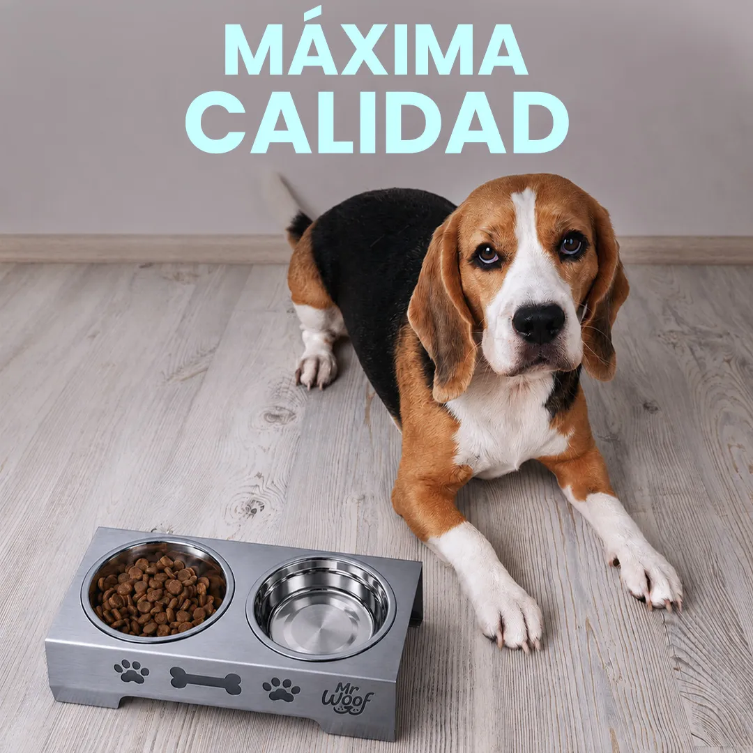 Maxima calidad MR WOOF