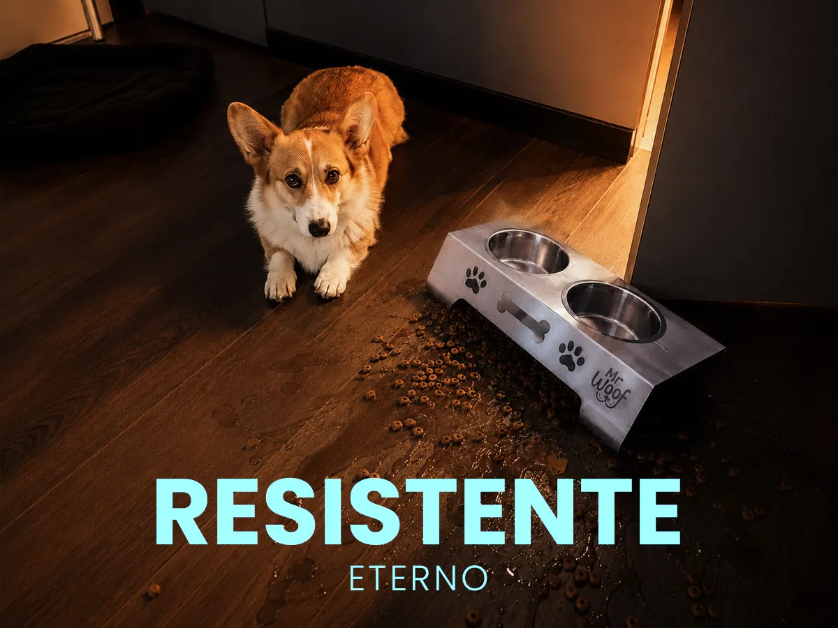 Producto resistente MR WOOF