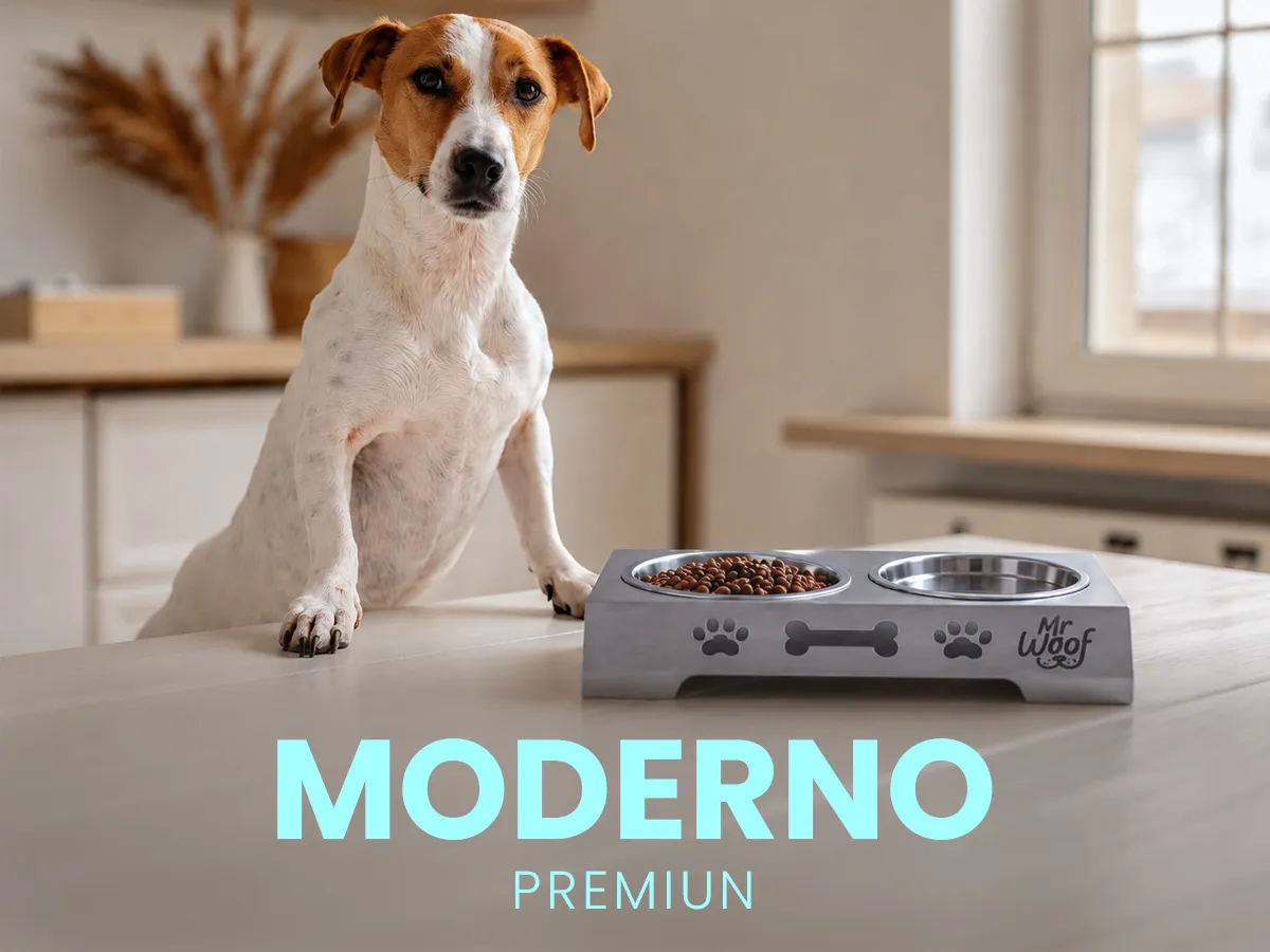 Producto moderno y premium MR WOOF